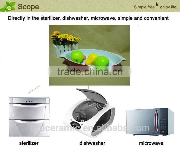 Colorful oval ceramic bakeware