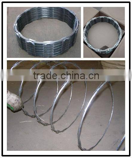 Alibaba .com ! hot selling in Brazil razor barbed wire used in pasture