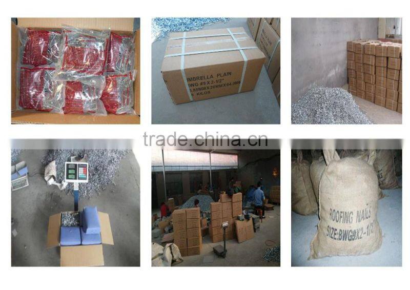 galvanized roofing nails price