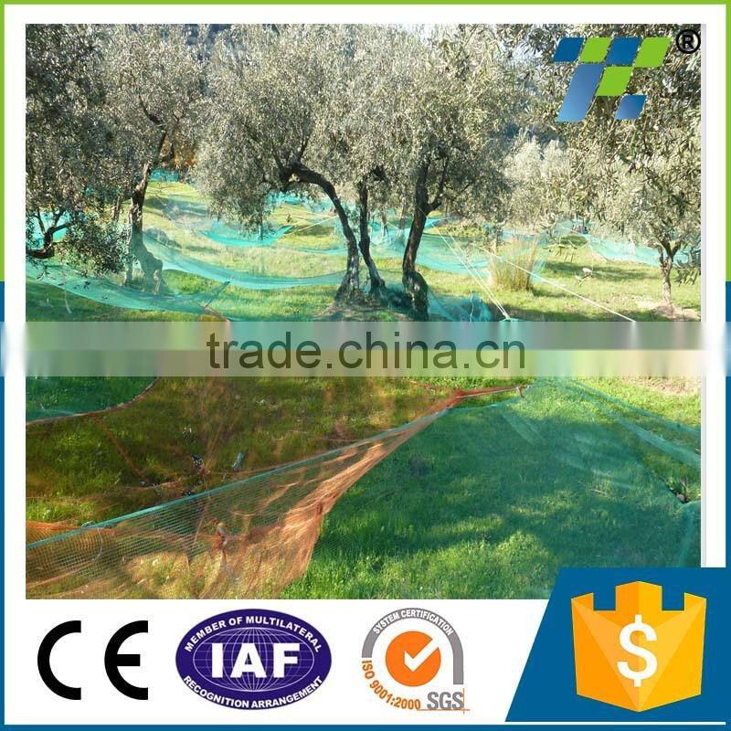 HDPE Rubber green color oliver fruits harvest net