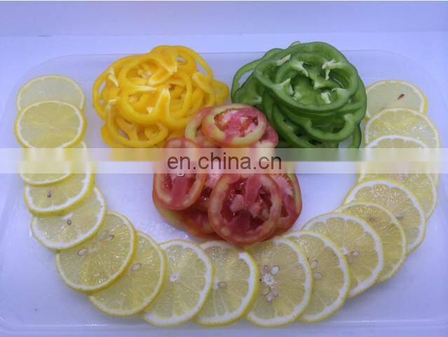 multifunctional vegetables slicing machine DX-100 on fruit and vegetable processing machines