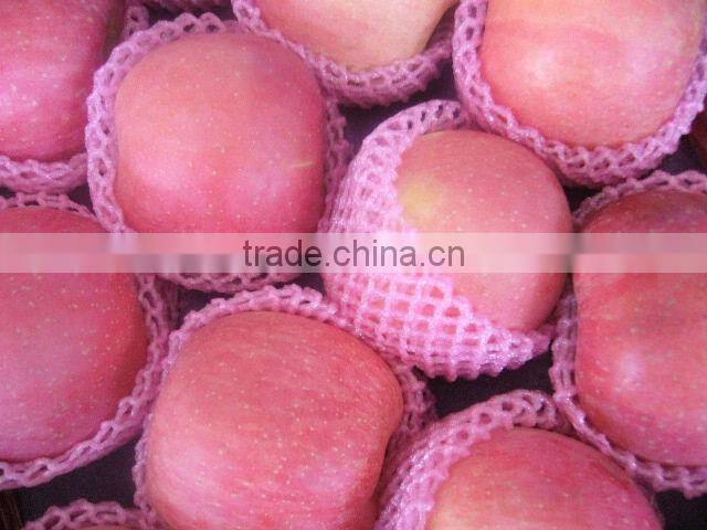 Chinese Fuji apple