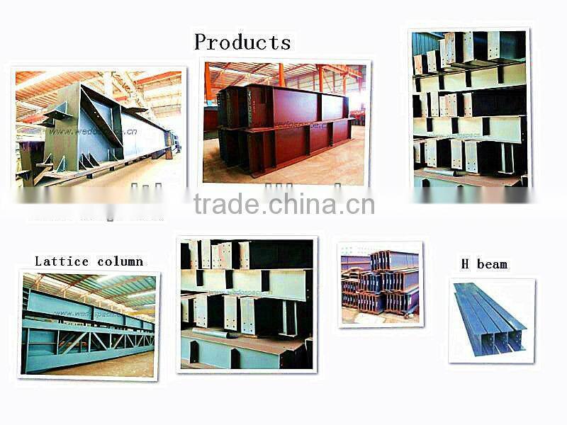 steel space frame construction cargo terminal