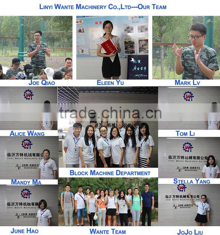 2015 trade assurance QT12-15 Top selling highly quality fully automatic Concrete block making product line