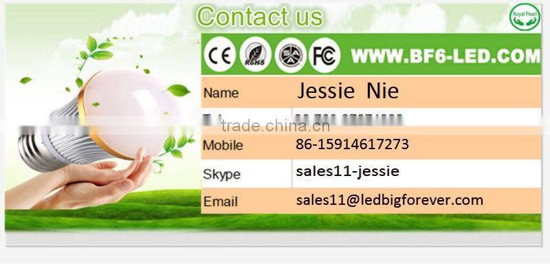 Black DC12V led floodlight 10W with CHILI45mil Chips, CE spotlight