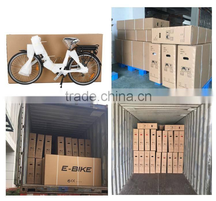 Best selling 250w 26 inch 36v 2A adult electric bikes KB-E-6013