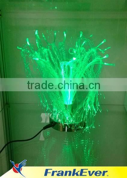 Frankever fiber artwork light decoration optical light
