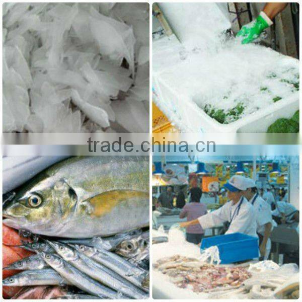 High Quality Flake Ice Making Machine for Frozen Food