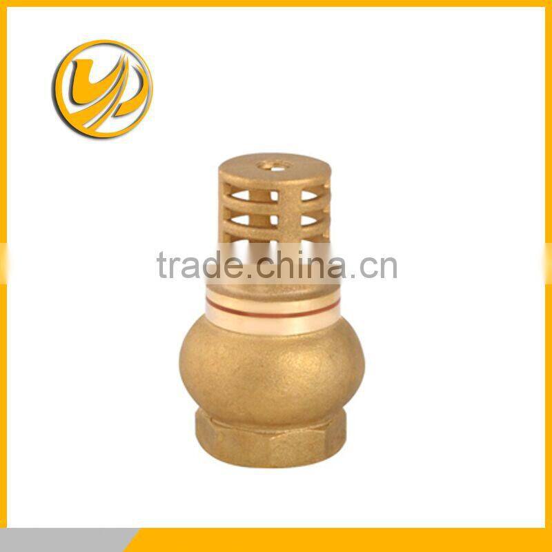 foot valve/ check valve/ brass foot valve check valve