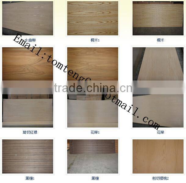 natural red oak veneer/black walnut /ASH veneer fancy plywood