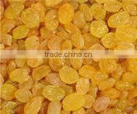 Golden Raisin
