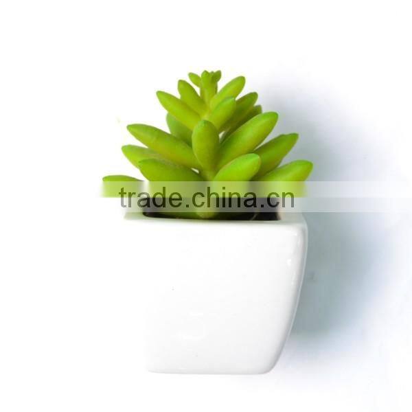 Mini Artificial Jade Succulent In Pot