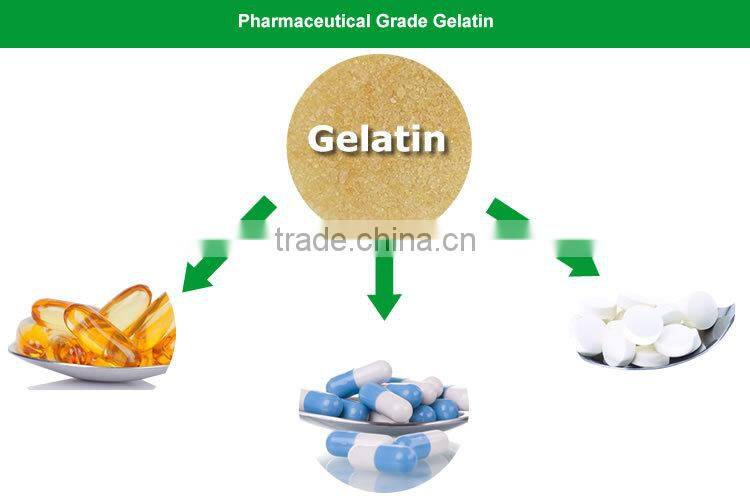 Gelatin for Tablets/Pharmaceutical Gelatin,Chemical Auxiliary Agent