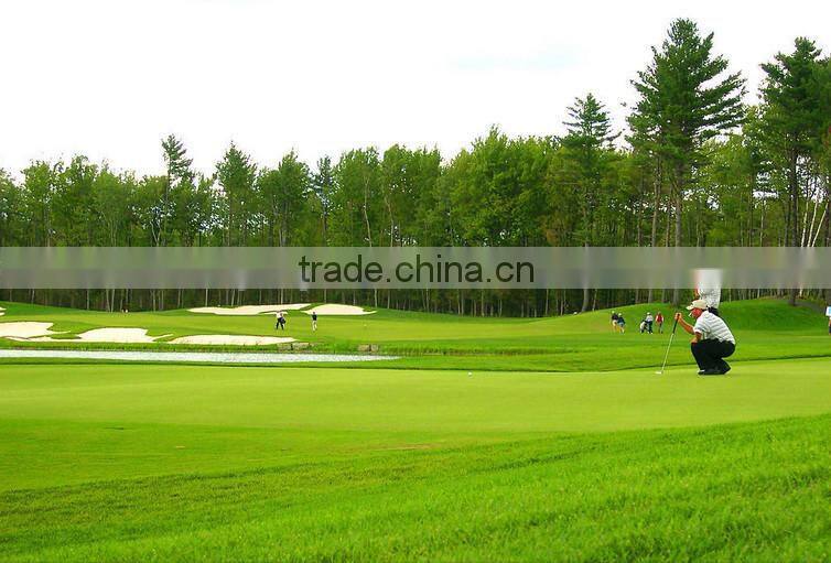 Wuxi factory mini golf artificial grass