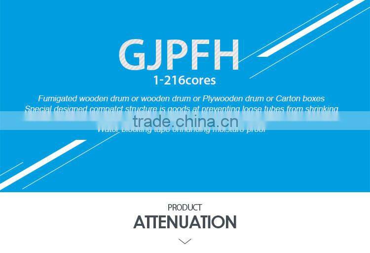 G657A 24 fiber indoor fiber optical cable for housing