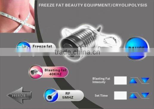 New arrival!!! Cryolipolysis fat reduction machine/cavitation body slimming machine