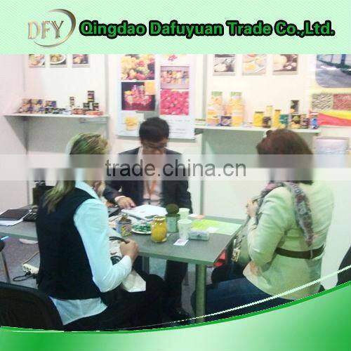 China High quality Canned Pickled Cucumber