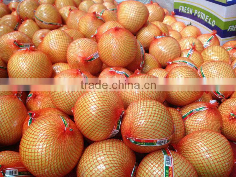 Guanxi fresh pomelo