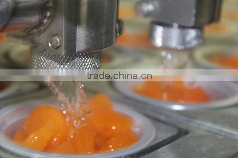 fruit cups top quality mandarin oranges OEM