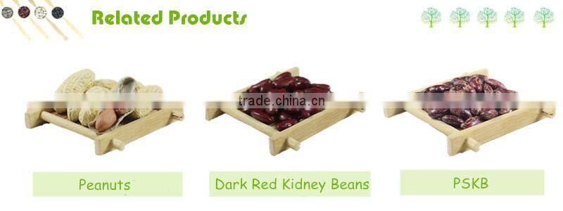 Broad Beans 70-80pcs For Canned