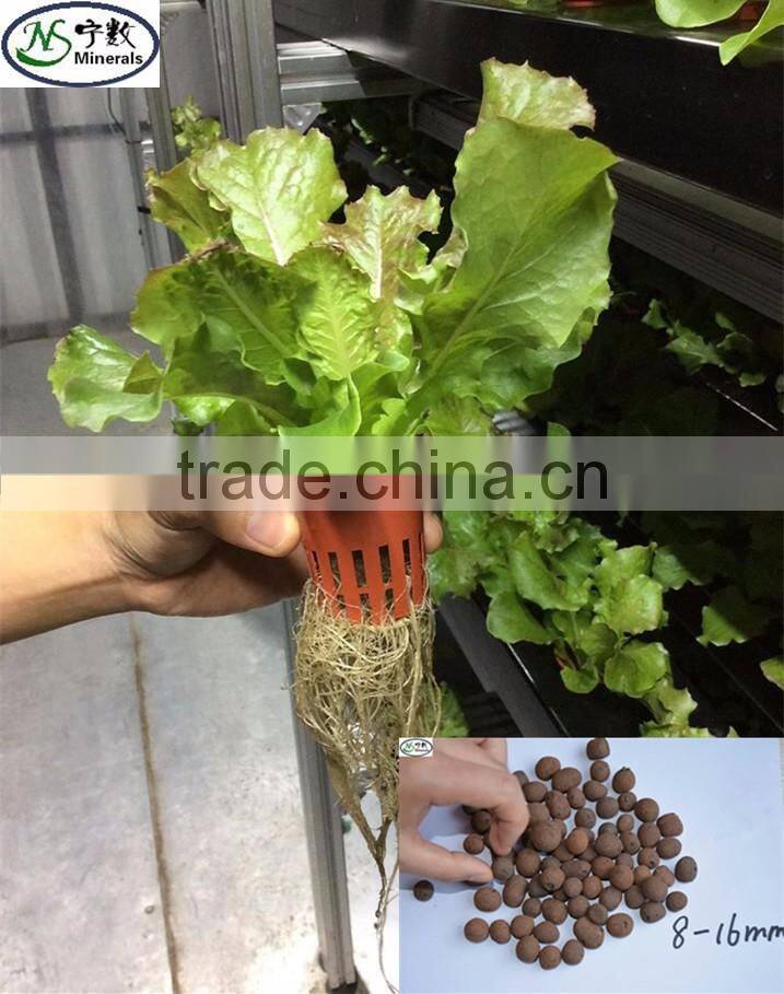 LECA clay pebbles or expanded clay pellet 10-30mm