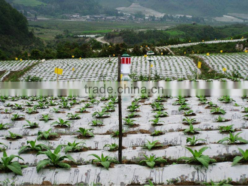 Vertical Pheromone Trap for Moth (Pheromone Lure Included)