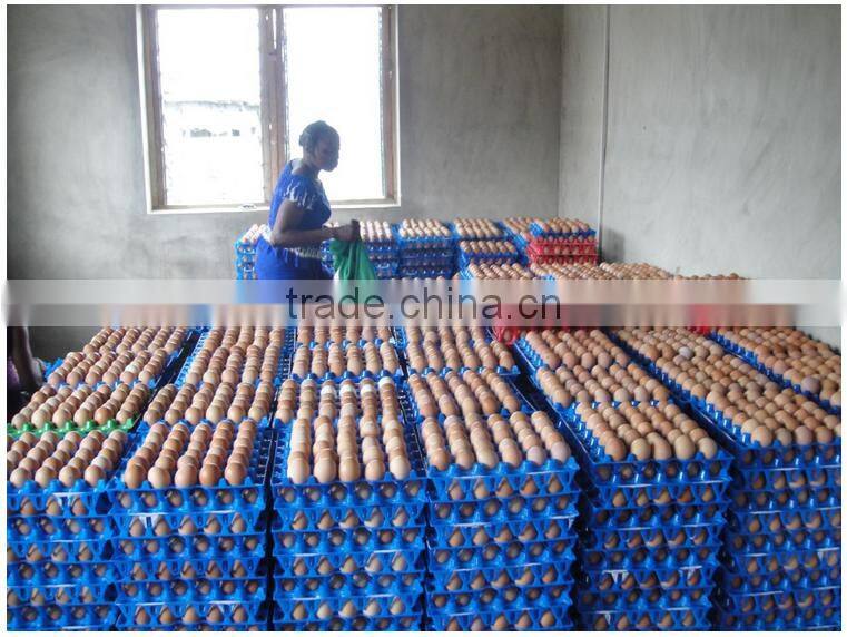 EGG Container Holder Box Refrigerator Storage Tray for 30pcs eggs HDPE