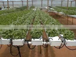 Most Popular Hydroponic NFT Channel pvc pipes