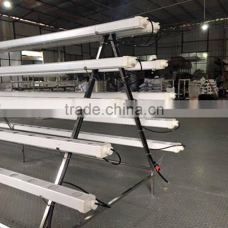 hydroponic vertical system for lettuce