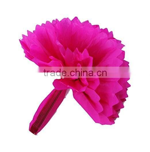 Decorative Hanging Pom Poms Pink White Tissue Paper Flowers for Wedding, Baby Shower Birthday,Party Decorations