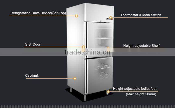 528L Stainless Steel Double Door Upright Freezer/2 Door Upright Freezer/Double Door Deep Freezer