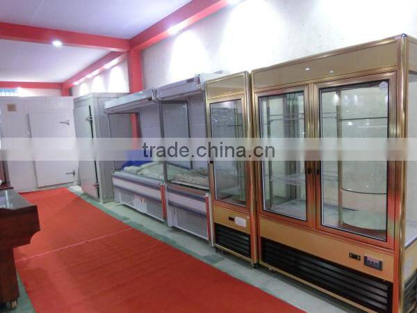 Hot sales Beverage display Refrigerator Showcase Freezer(ZQR-338)