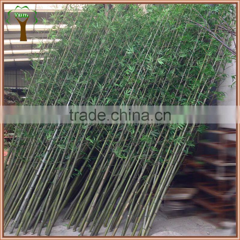 Artificial lucky bamboo plant bamboo tree for landscape decoration