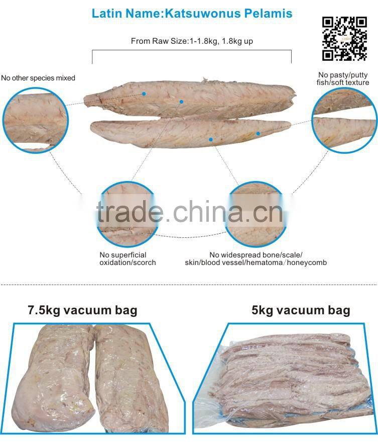China Seafood Supplier 1kg up Raw Size New Skipjack Tuna Loin