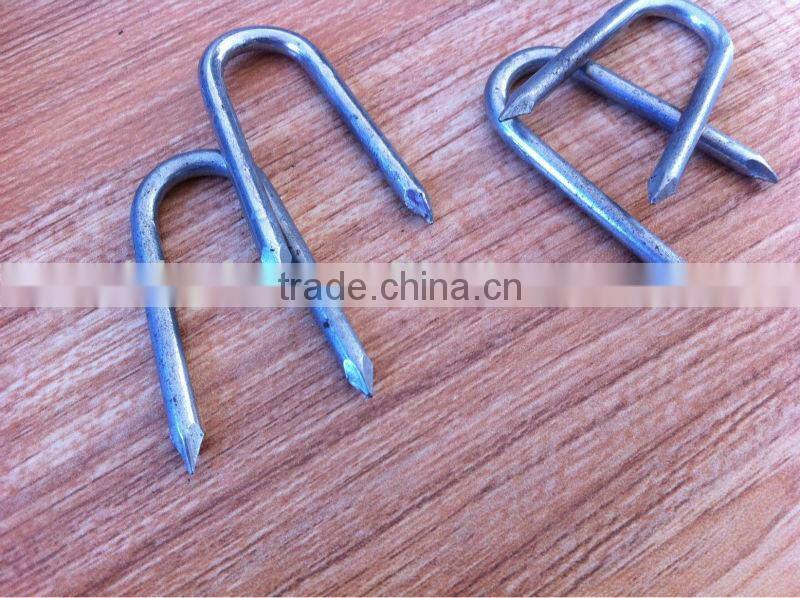 U Type Steel Nails china supplier