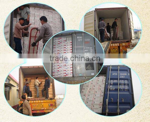 instant active dry yeast for food industry