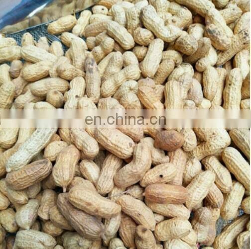 Multifunctional Stainless Steel Peanut Walnut roasting machine