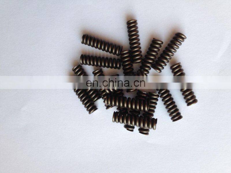 Fuel common rail injector spring 2434614020, 2434614010 ,2434614027, 2434619040, 2434619017