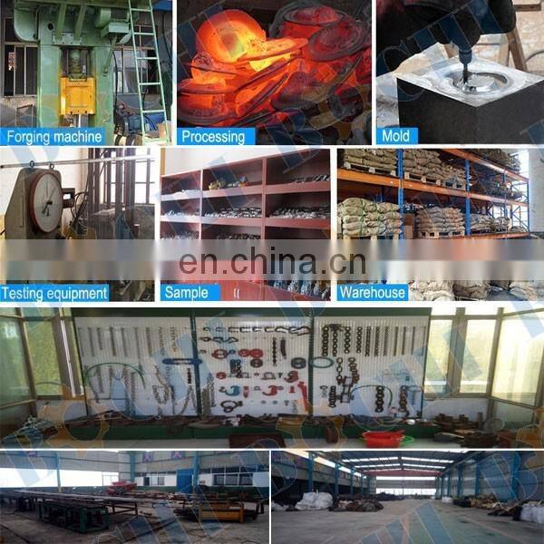 High Strength European Type D Shackle