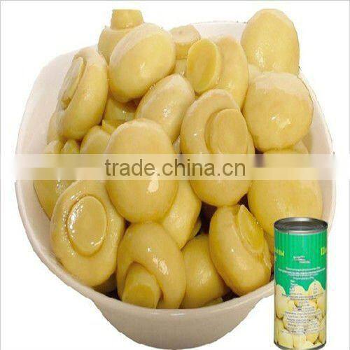 shiitake mushroom in brine