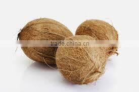 Tasty Fresh Matured Coconut Price