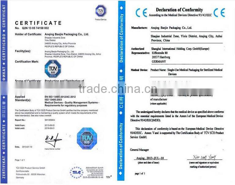 Hot Sell Transparent Tyvek Headbag