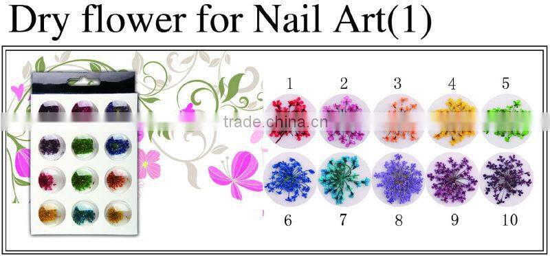 professional glitter powder nail art decoration