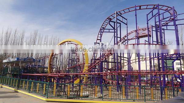 hot sale amusement theme park rides roller coaster/roller coaster