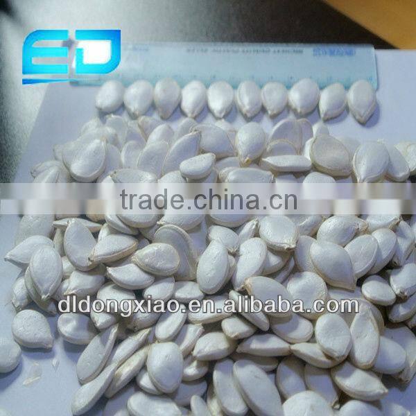 Crop Top Different Types of Seeds High Quality Snow White Pumpkin Seeds