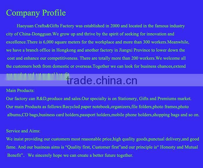 CD case bag for present