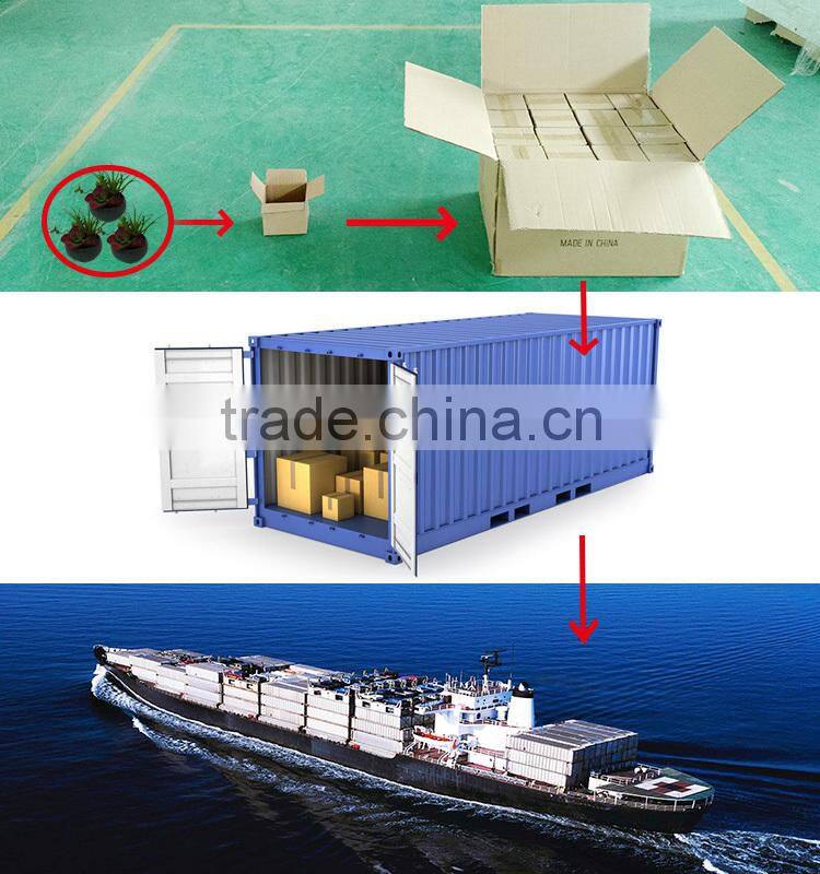 PVC Small Mini Artificial Potted Aloe Plant in Black Pulp Pot for Wholeselling