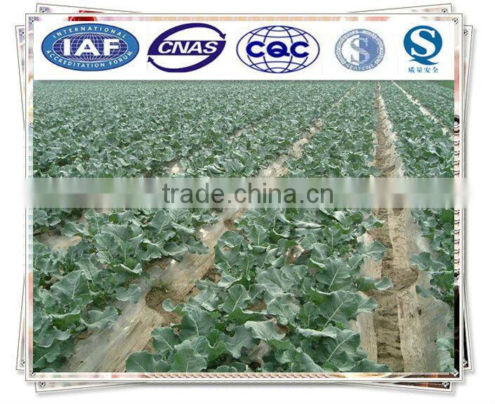 Frozen fried vegetable cake