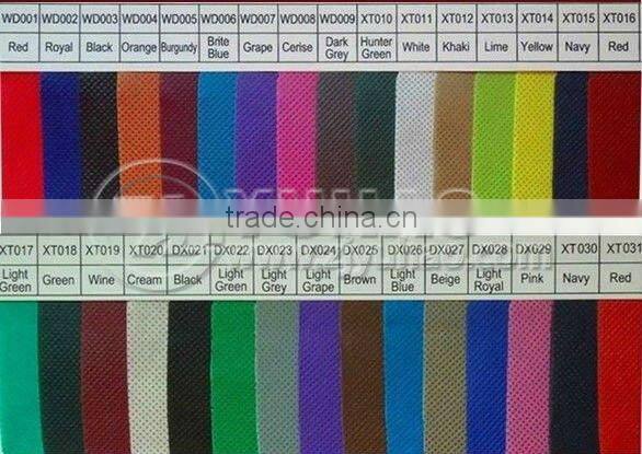 2012 Latest Fashion Spring Color Two Persons Picnic Bag