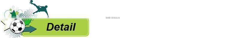 International standard steel soccer cage football cage